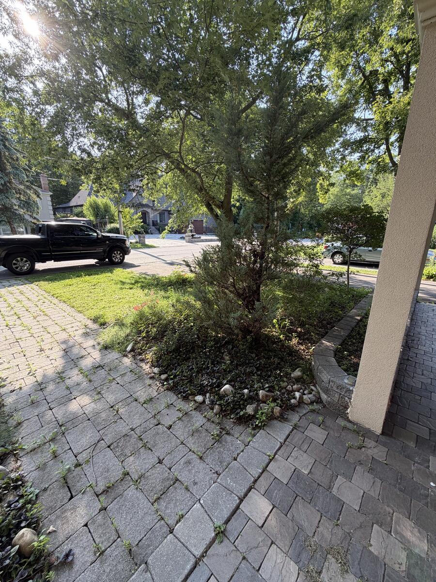 Before — Overgrown front garden reclaimed with fresh mulch and clean beds